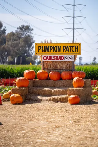 Pumpkin Patch Carlsbad 2026 sign above stacked hay bales and pumpkins