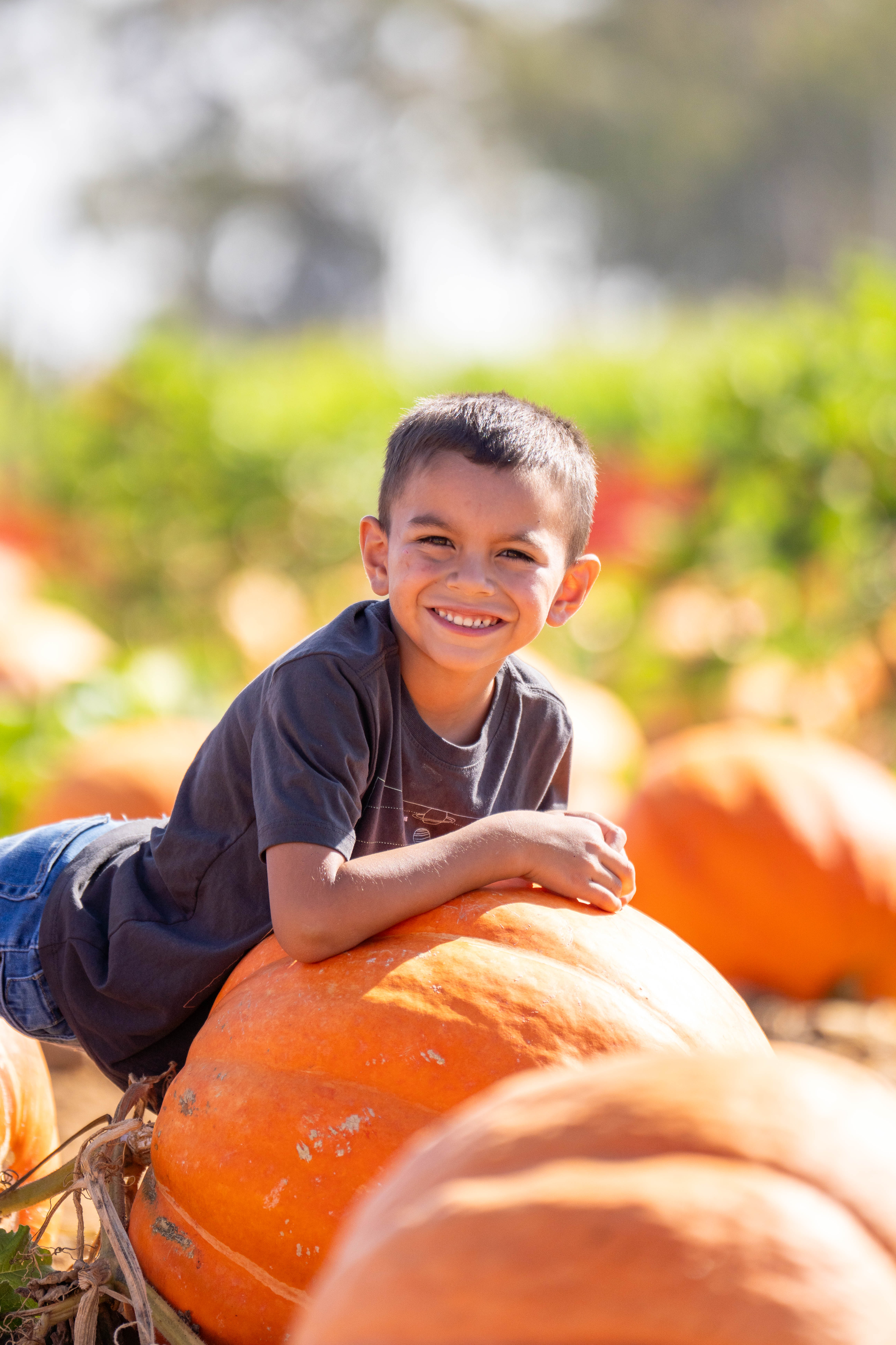 Smiling boy lying across a big pumpkin in the patch