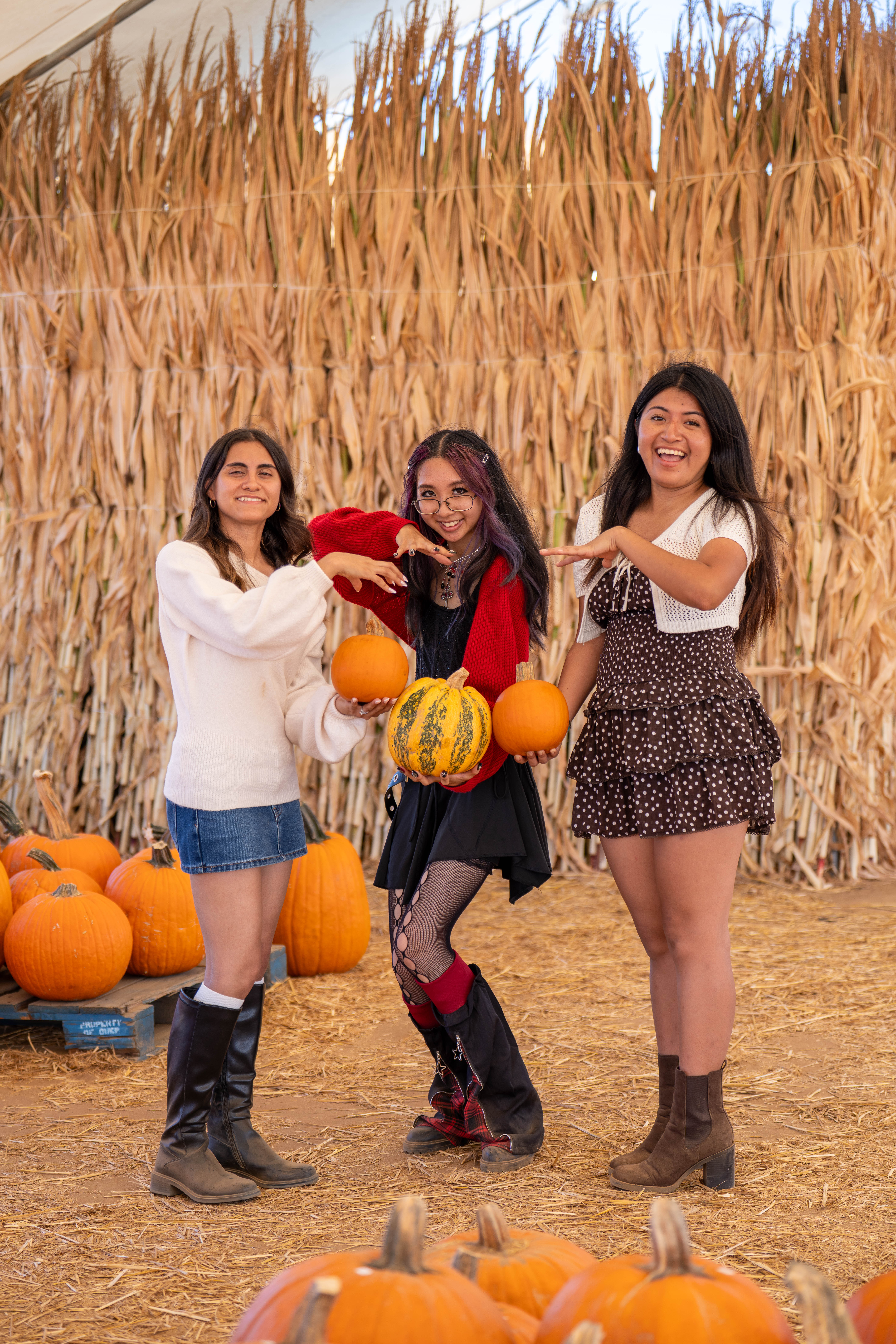 Three friends posing with small pumpkins in front of a wall of corn stalks