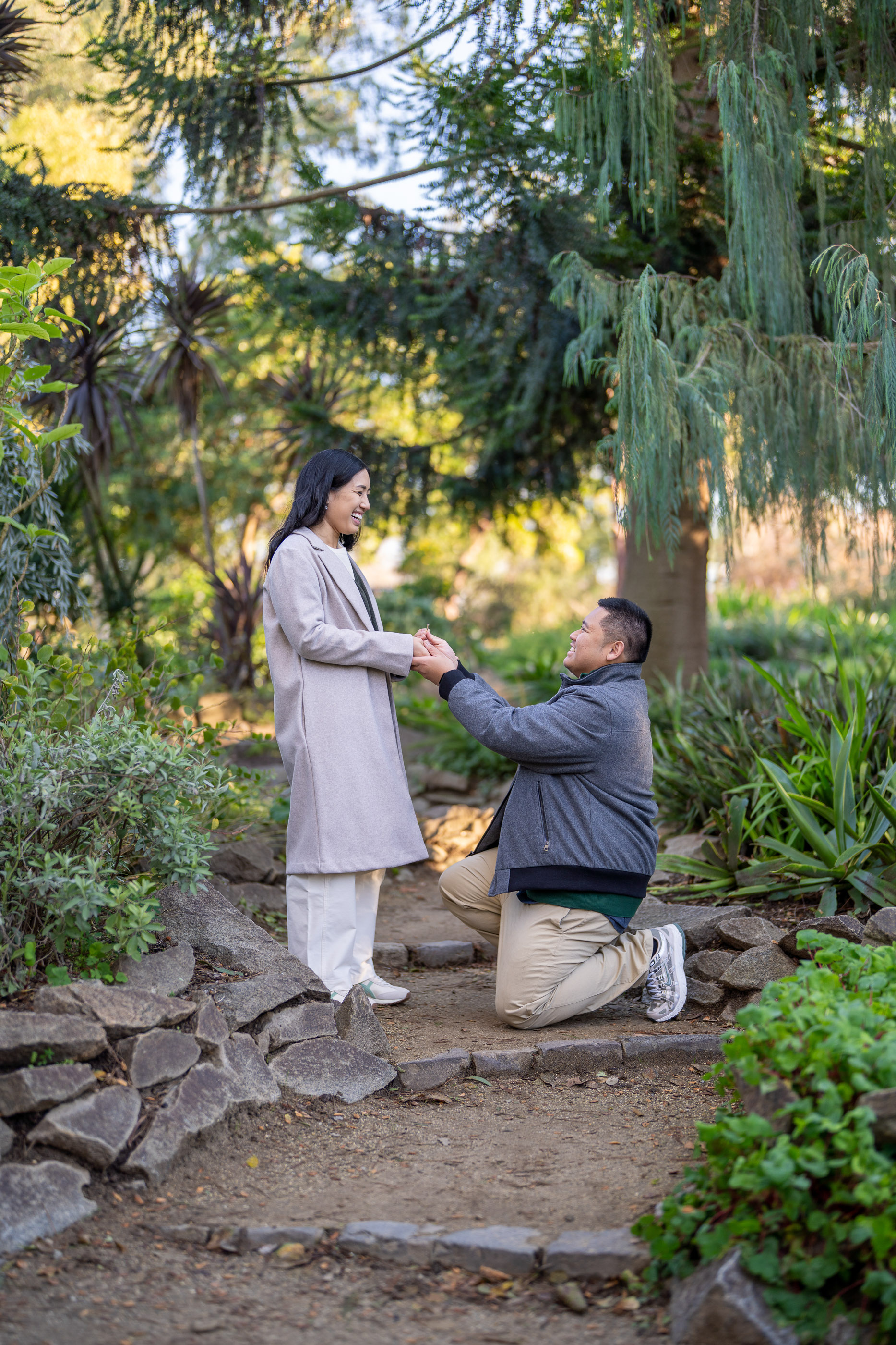 Couple embracing during a romantic engagement session beneath tall trees